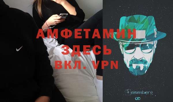 гидра Богданович