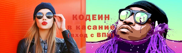 гидра Богданович