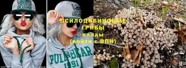 гидра Богданович