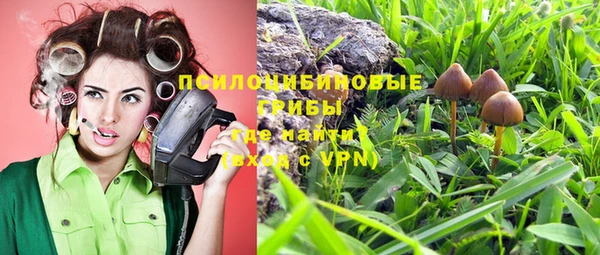 a pvp Богородицк