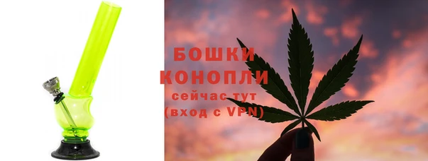гидра Богданович