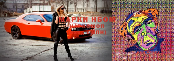 гидра Богданович