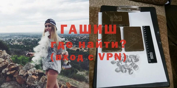 гидра Богданович