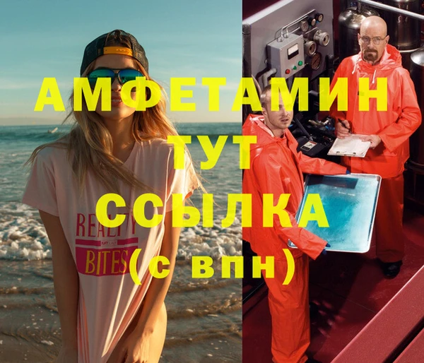 гидра Богданович