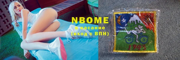 гидра Богданович