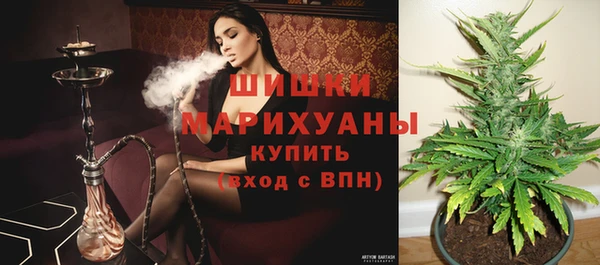a pvp Богородицк
