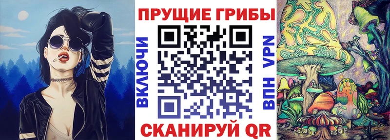 OMG онион  Семёнов  Псилоцибиновые грибы Magic Shrooms 